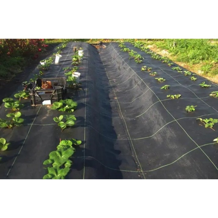 Agrofibre Bradas AWB8008050