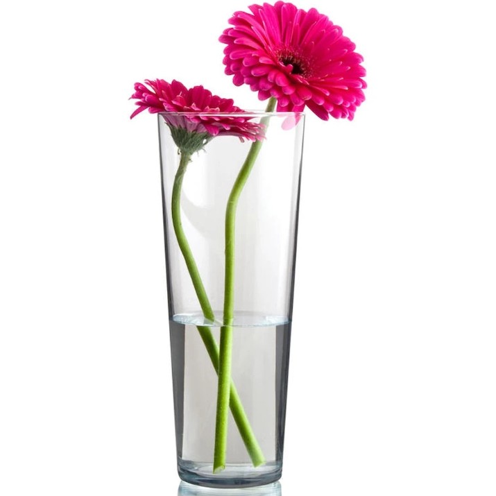 Vaza Pasabahce Botanica Flare 26cm (43177)