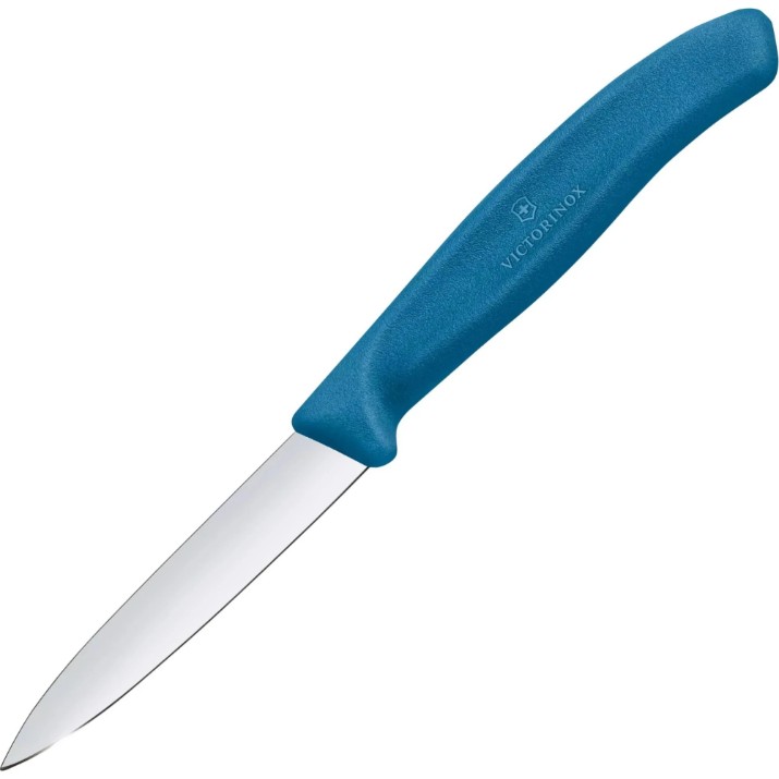 Кухонный нож Victorinox 6.7602.C1