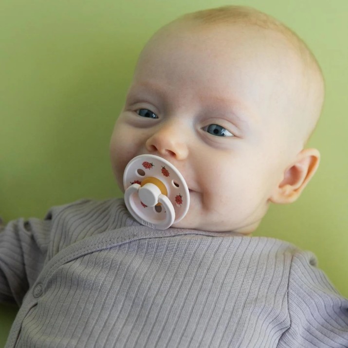 Пустышка BIBS Ladybug: Blush/Sand 18-36m 2pcs (5713795270644)