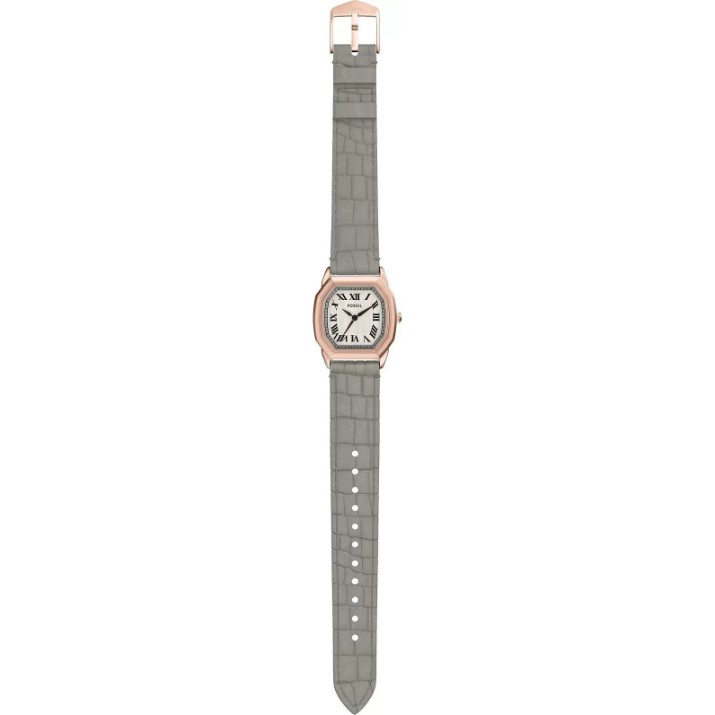 Наручные часы Fossil ES5435