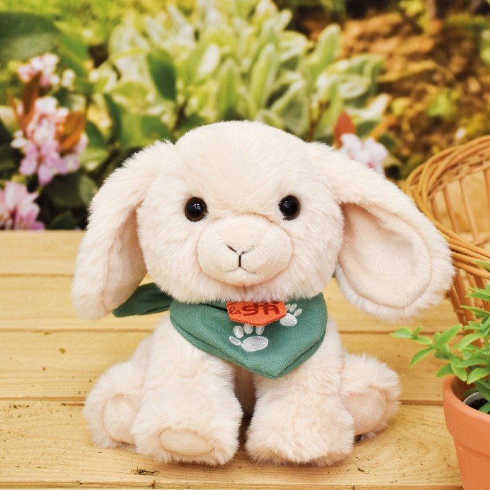 Jucărie de pluș Histoire d'Ours Dog Beige Spa Collection 16cm (HO3316)