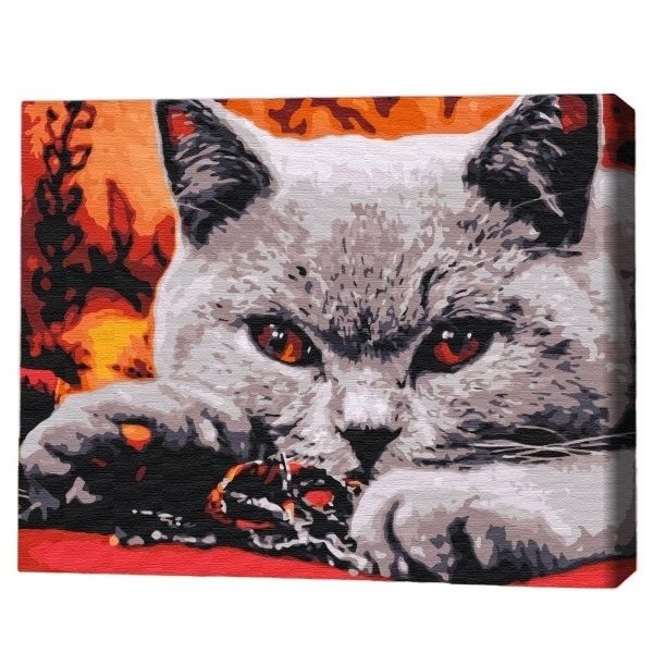 Tablou pe numere Brushme Домашний хищник 30x40cm (RBS32800FC)
