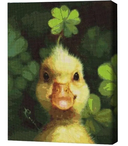 Pictura cu diamante după numere Brushme Счастливый утёнок 40x50cm (DBS1228FC)