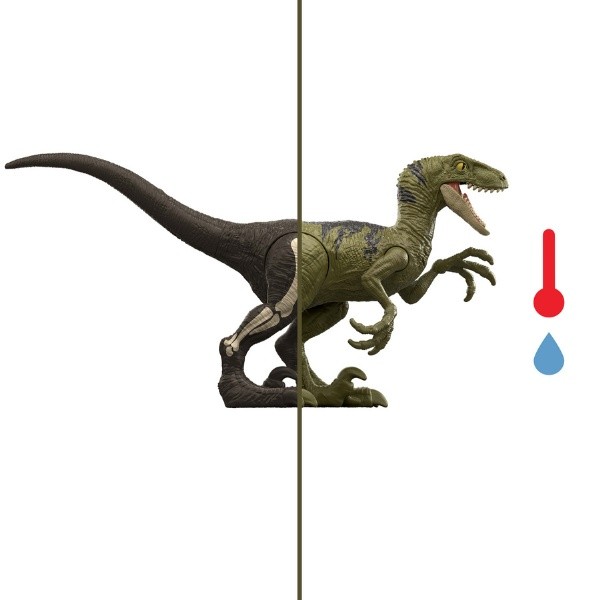 Figurine animale Jurassic World Dino Reveal (JDC52)
