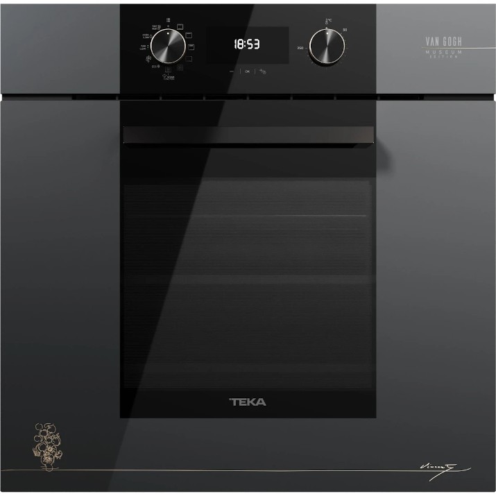 Электрический духовой шкаф Teka HLB 84-V Gogh