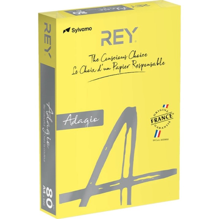 Бумага для печати Rey Adagio Yellow 66 (RYADA080X425)