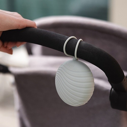 Контейнер для пустышки BabyOno Green (1569/04)