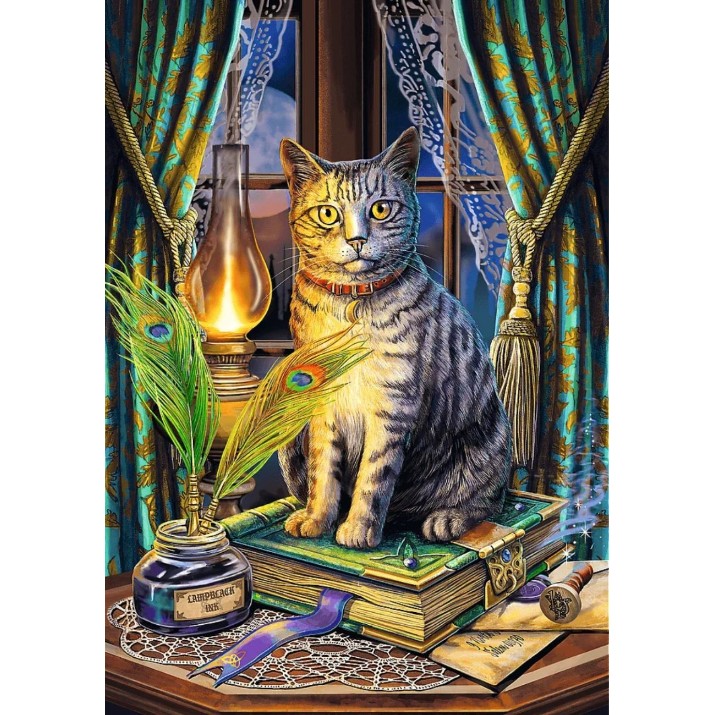 Puzzle Trefl Premium Plus Magic Collection 1000pcs (10899)