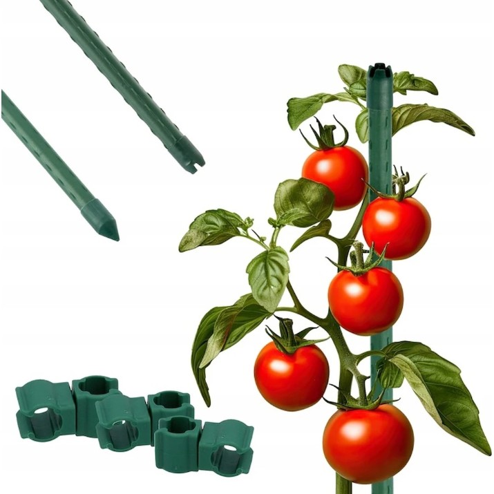 Теплица GardenLine TUN5613 6x3x2m