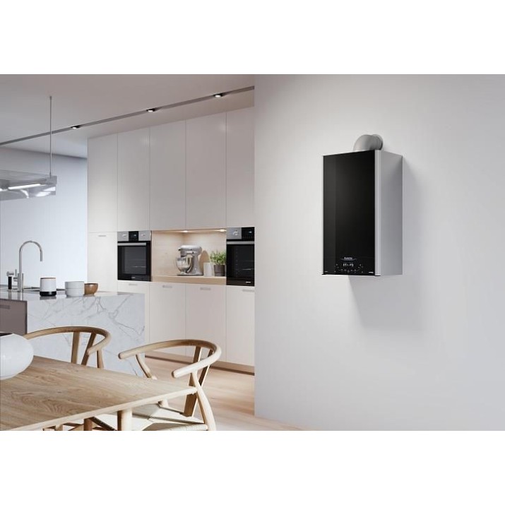 Centrala termica Ariston Alteas XC 30 FF (3301671)