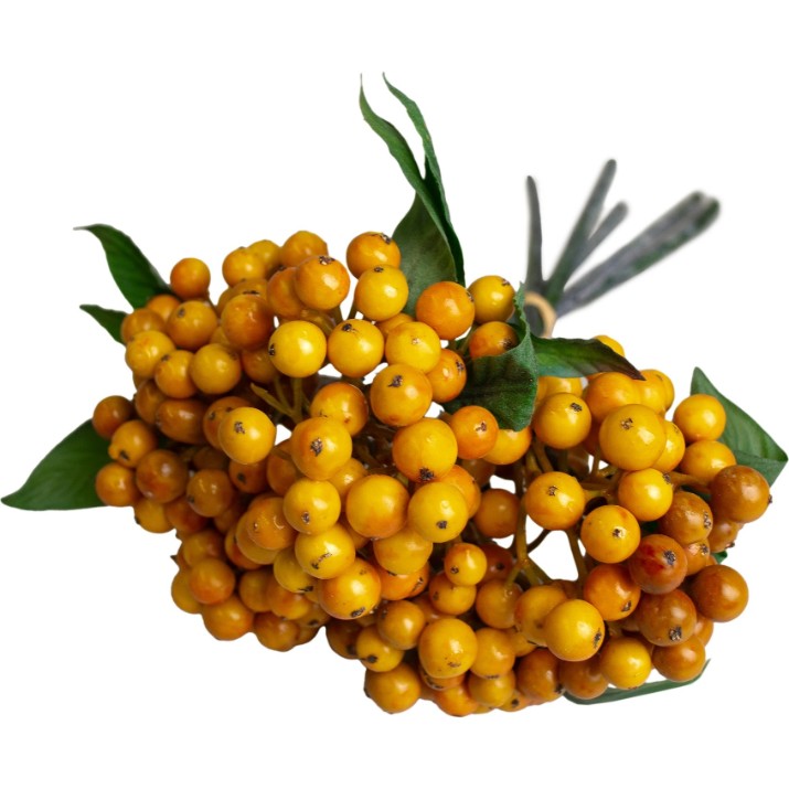 Декоративный цветок Deco Piracanta