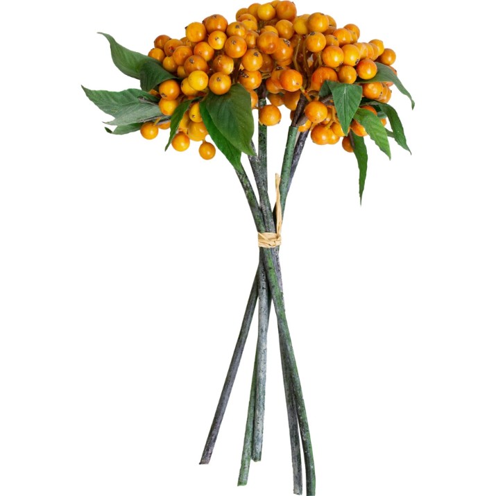 Floare decorativă Deco Piracanta