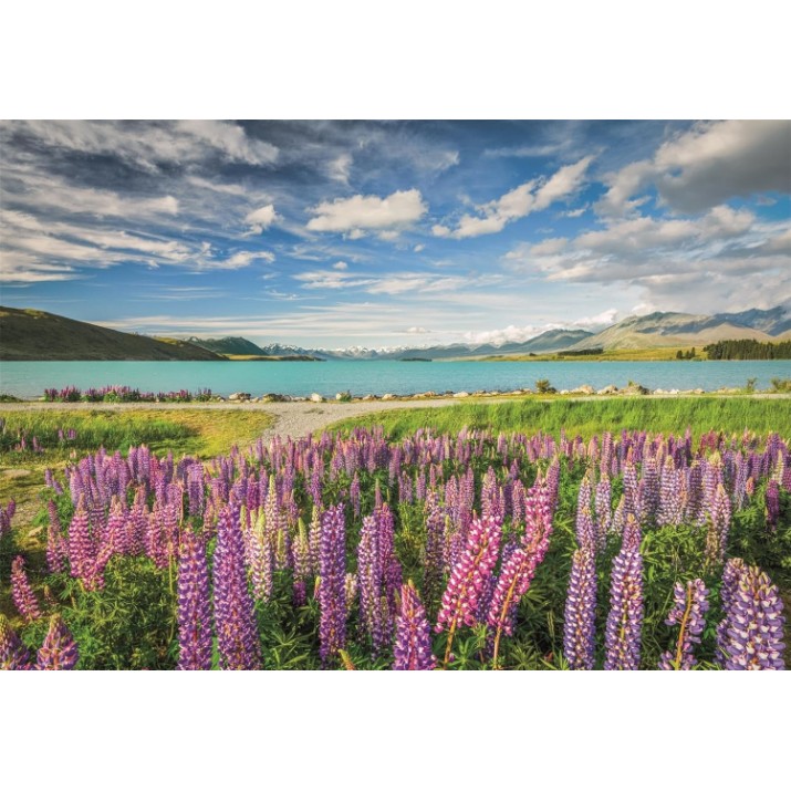 Пазл Clementoni 1500 Lupins At Lake Tekapo (31731) 