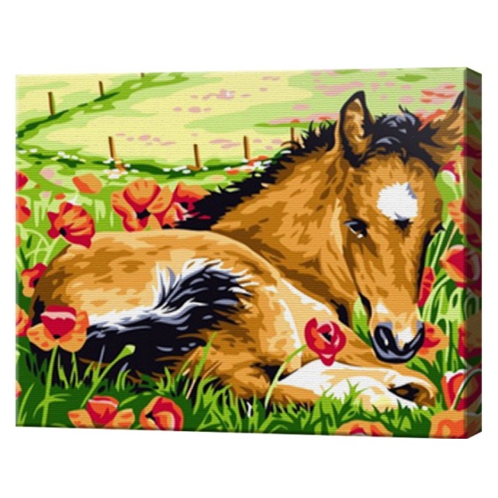 Картина по номерам Art Gallery Premium Foal (CX4901)