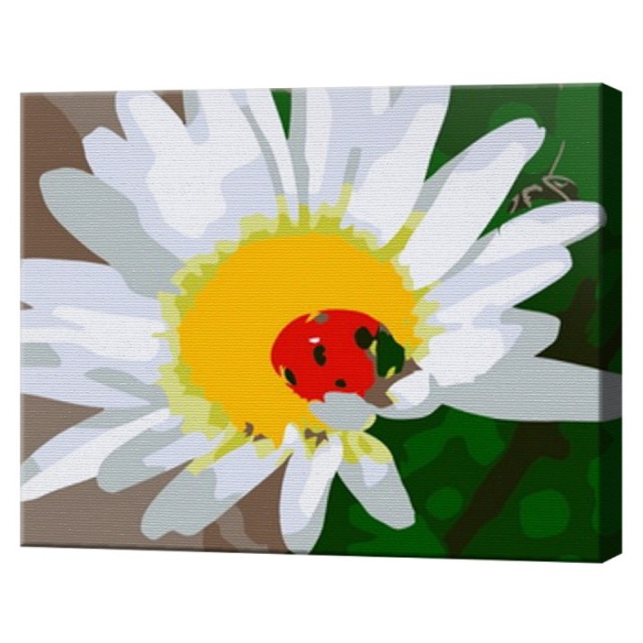 Tablou pe numere Art Gallery Premium Ladybug On Chamomile (CX4220)