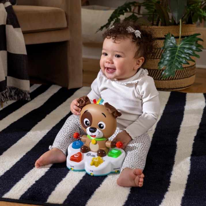Jucarii interactive Baby Einstein Drum & Learn Dean (16830)