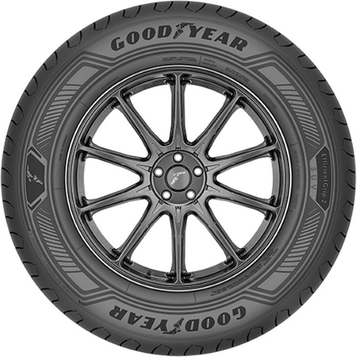 Шина Goodyear EfficientGrip 2 SUV 285/45 R22 114H
