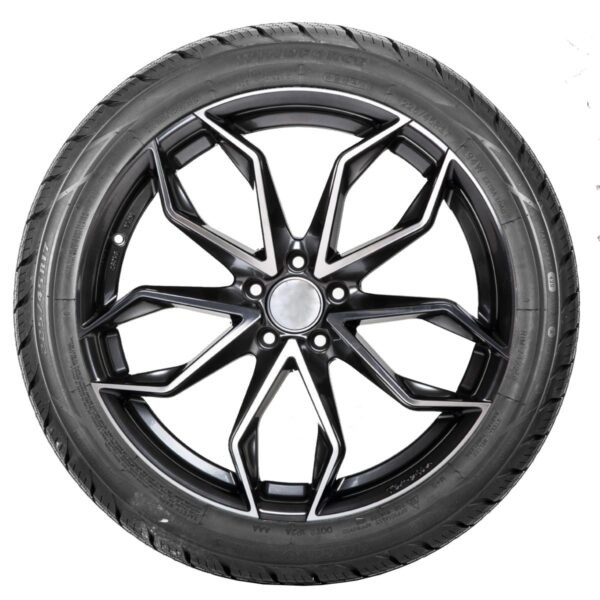 Шина Prinx Quattura 4S+ 225/55 R17 101W
