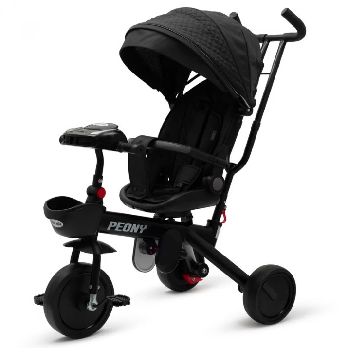 Bicicletă copii Baby Mix Peony Eva Black (56314)