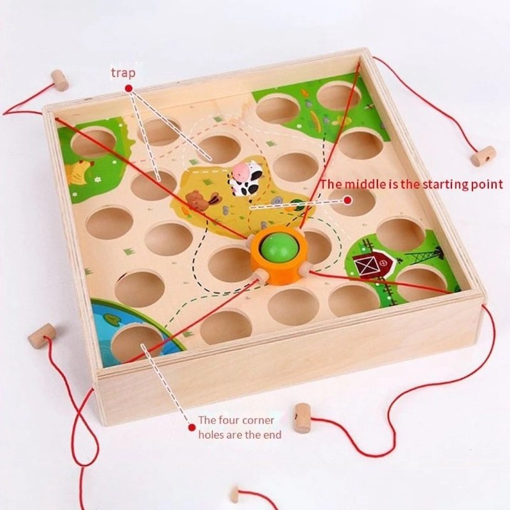Joc educativ Edujoc Darent Child Ball Game (TT14608)