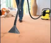 Моющий пылесос Karcher SE 4002 (1.081-140.0)