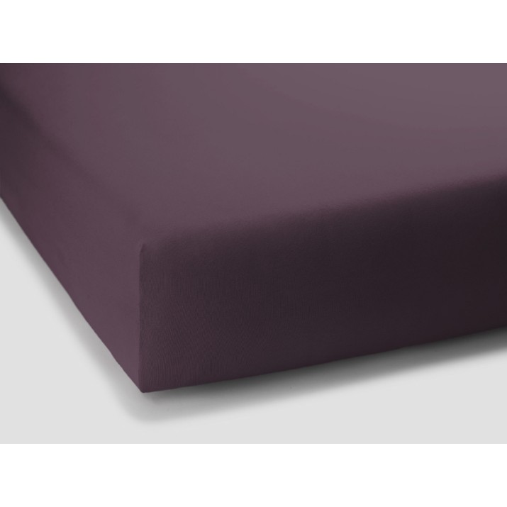 Cearşaf Formesse Bella Gracia Standard 180x190 Violet (035-19-0546)