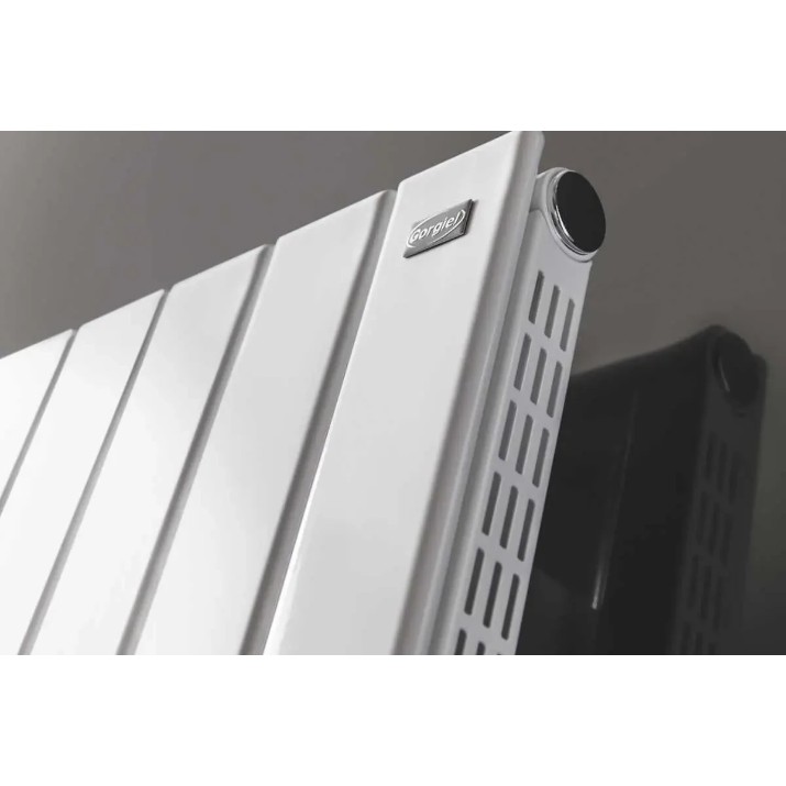 Радиатор Gorgiel Altus VV AVV 180/40 White 01 (21)