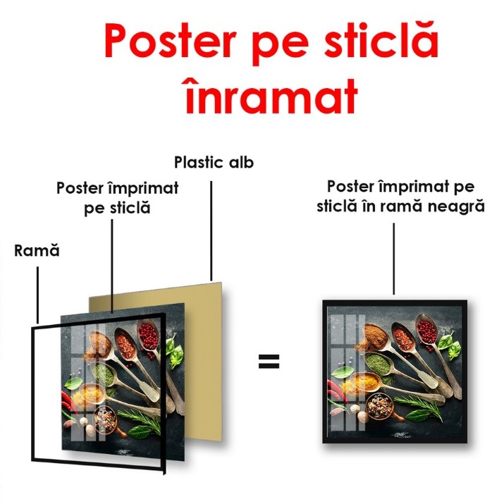 Картина ArtShop Various Spices 40x40cm (PET129-XL)