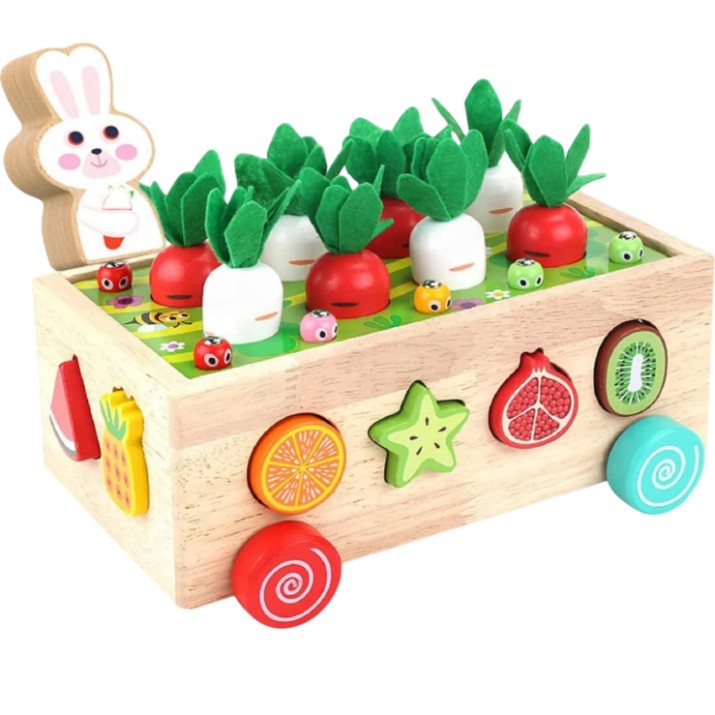Sortator New World Fruit Car (JHTOY-556)