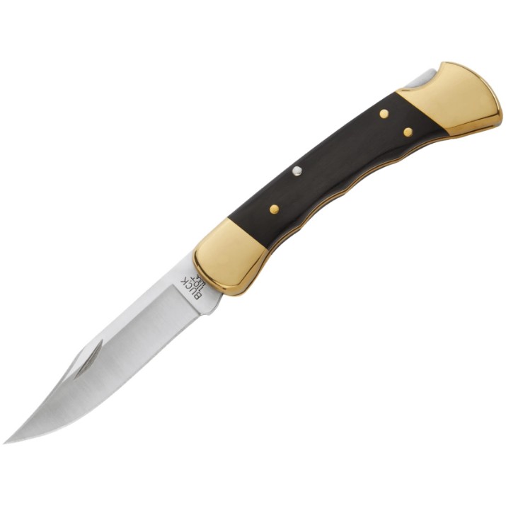 Cuțit Buck 110 Folding Hunter (0110BRSFG-B)
