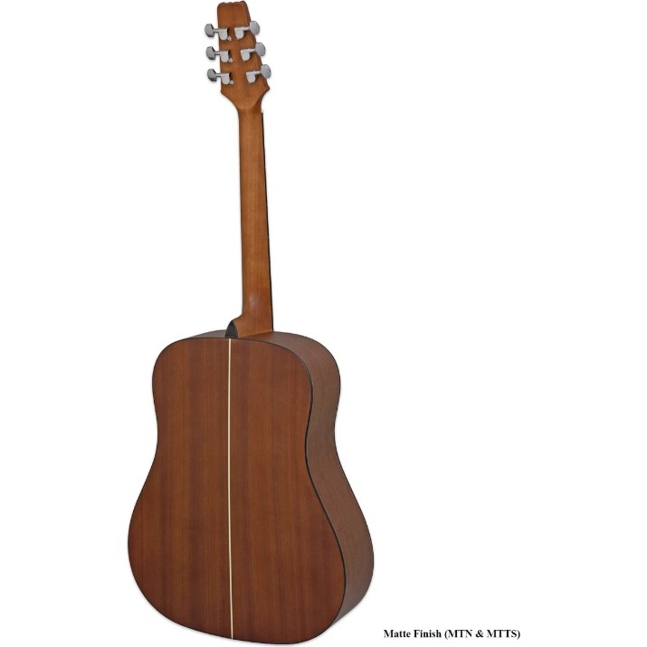 Chitară acustică Aria AD-10 MTN