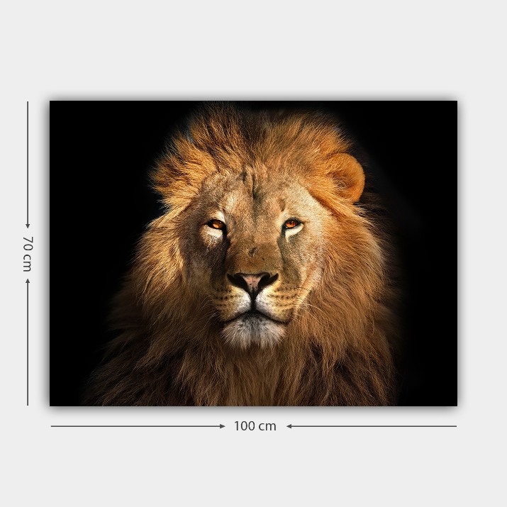 Pictură Wallity 565032793_70100 70x100cm