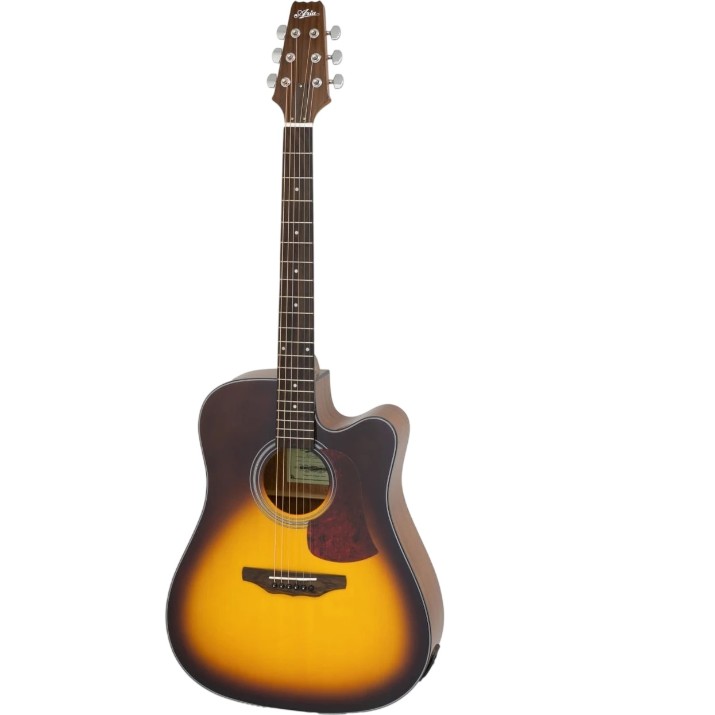 Chitară electro-acustică Aria AD-10CE TS
