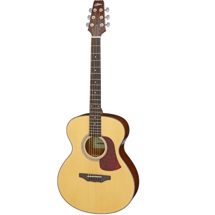 Chitară acustică Aria AF-10 N