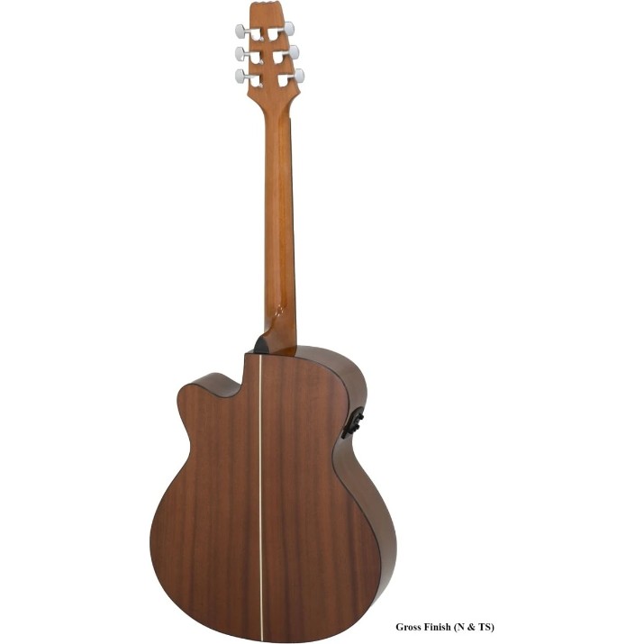 Chitară electro-acustică Aria AF-10CE N