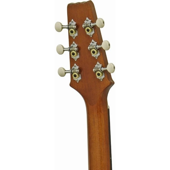 Chitară electro-acustică Aria FET-R1 AQMR