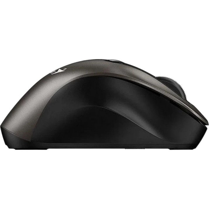 Mouse Genius Ergo 9000S Champagne Titanium