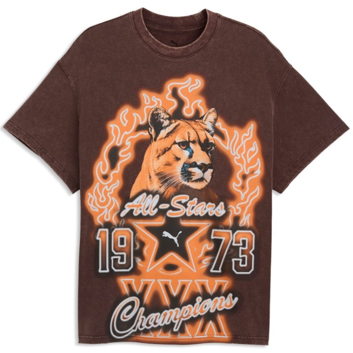 Tricou bărbătesc Puma Dylan Wildcat II Chocolate Fondue, s.M