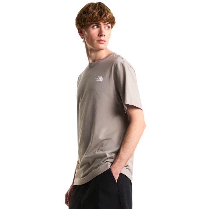 Мужская футболка The North Face Evo Box NSE Stone Slab, s.M