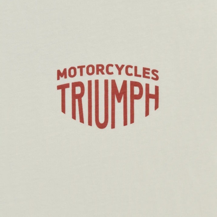 Мужская футболка Triumph Fenald Tee Rust/Bone (MTSS26228-L)
