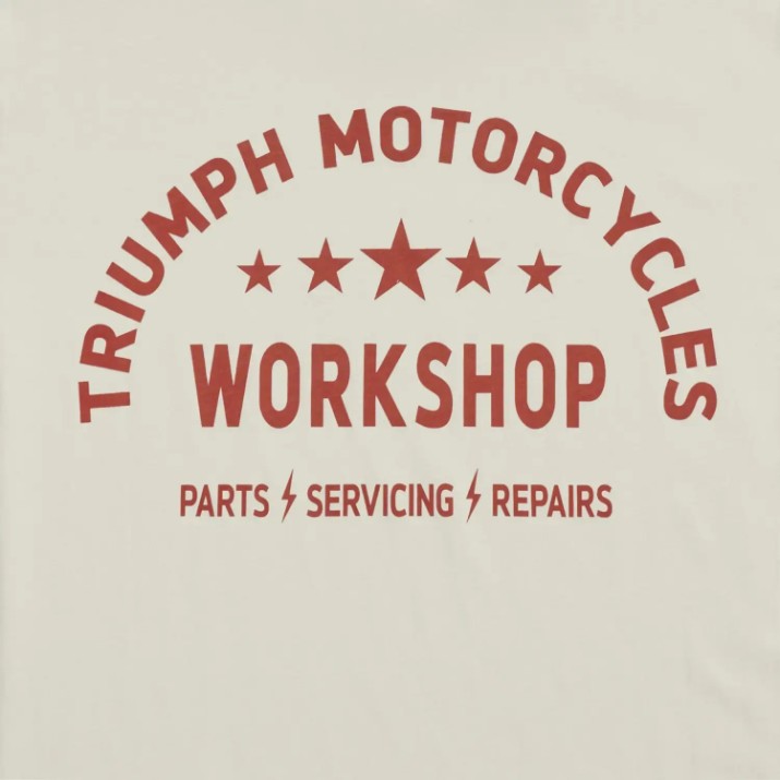 Мужская футболка Triumph Fenald Tee Rust/Bone (MTSS26228-L)