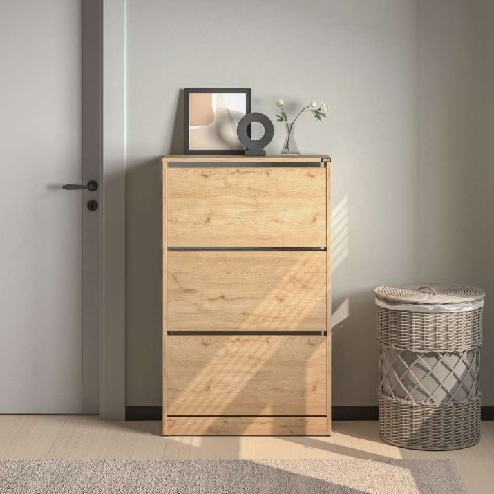 Rafturi pentru pantofi Hanah Home Flat