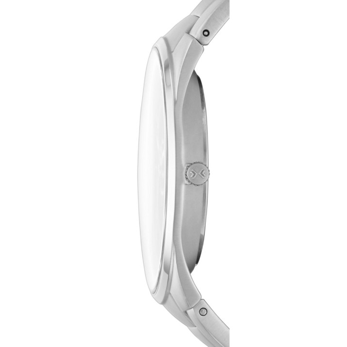 Наручные часы Skagen SKW6137