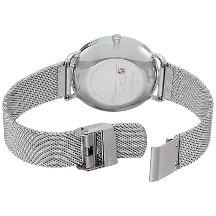 Наручные часы Skagen SKW6230