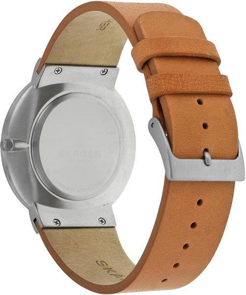 Наручные часы Skagen SKW6194