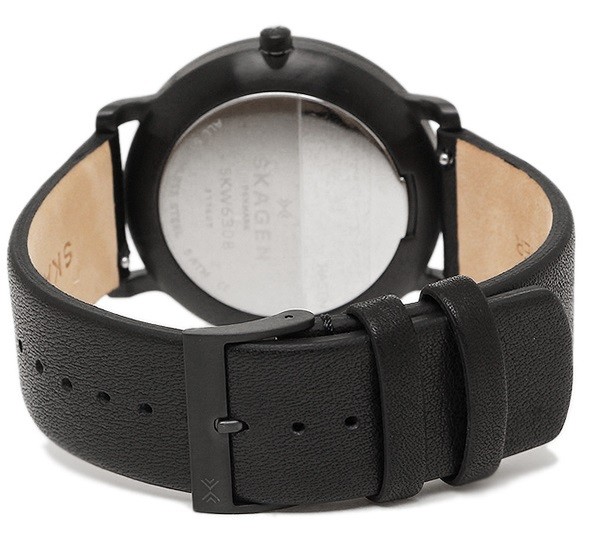 Наручные часы Skagen SKW6308