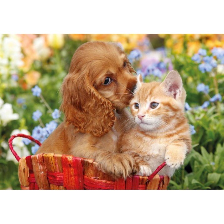 Пазл Clementoni 104 Maxi Noli Cute Friends (25763)