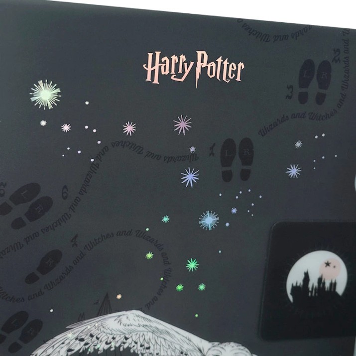 Папка для бумаг Kite A4 Harry Potter (HP25-248-2)