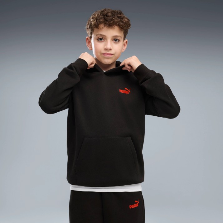 Детская толстовка Puma Ess Logo Lab Brand Back Graphic Fl B Puma Black, s.164